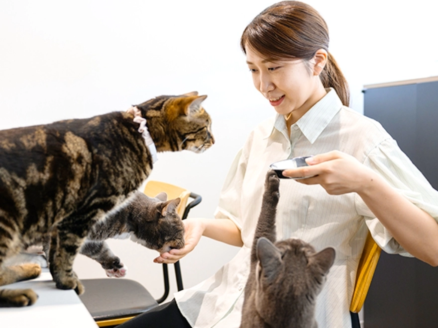 猫3匹に餌やりをしているY.S.さん